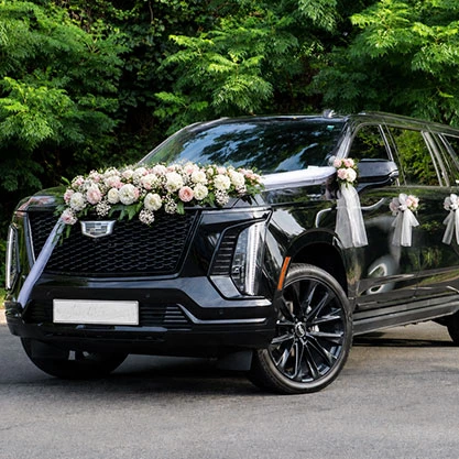 Wedding Transportation